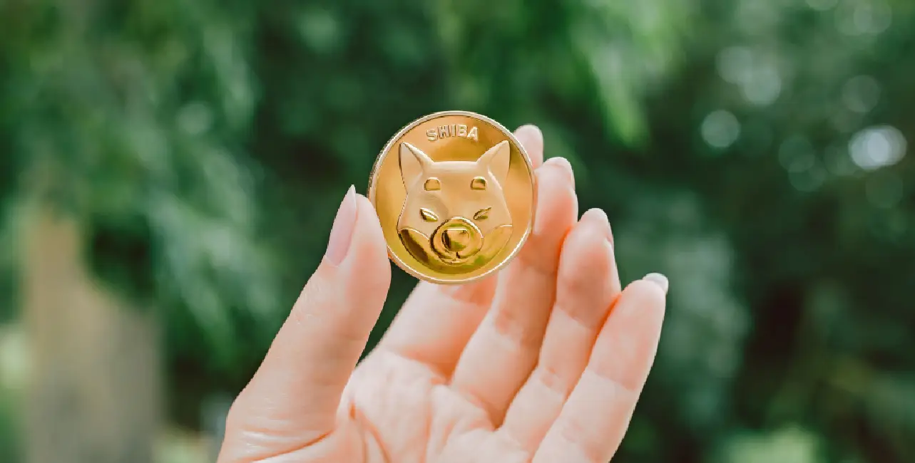 柴犬幣(shib幣)是什麼？從迷因到奇蹟，柴犬幣如何征服加密世界？ | 啟程教育學院