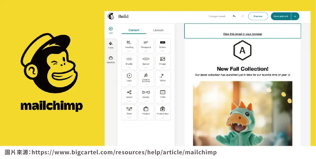 internet-marketing Mailchimp